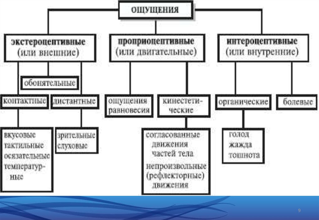 Классификация ощущений в психологии схема