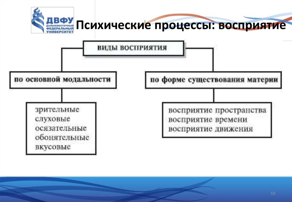 Схема психических процессов