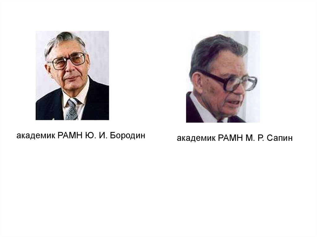 Сколько академику. Академик ю.и Бородин. Академик Бородин Юрий Иванович. Ю И Бородин вклад в анатомию. Академик РАМН.