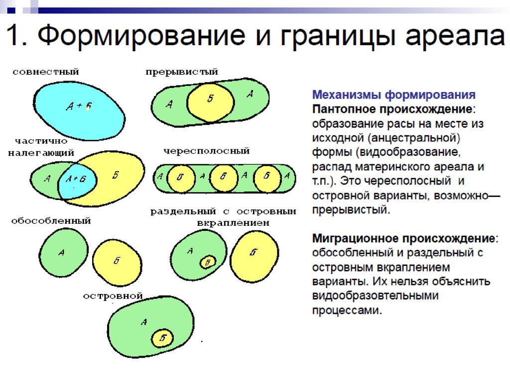 Формы ареалов