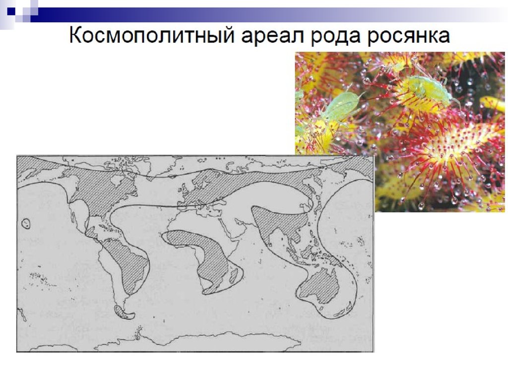 Ареалы на карте применяются для изображения