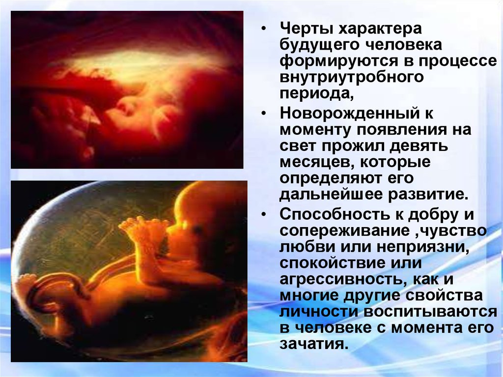 Внутриутробный период у человека длится. Внутриутробное развитие плода. Внутриутробный период новорожденного. Эмбрион внутриутробный.