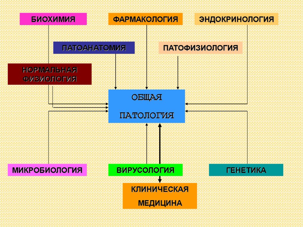 Общая патология