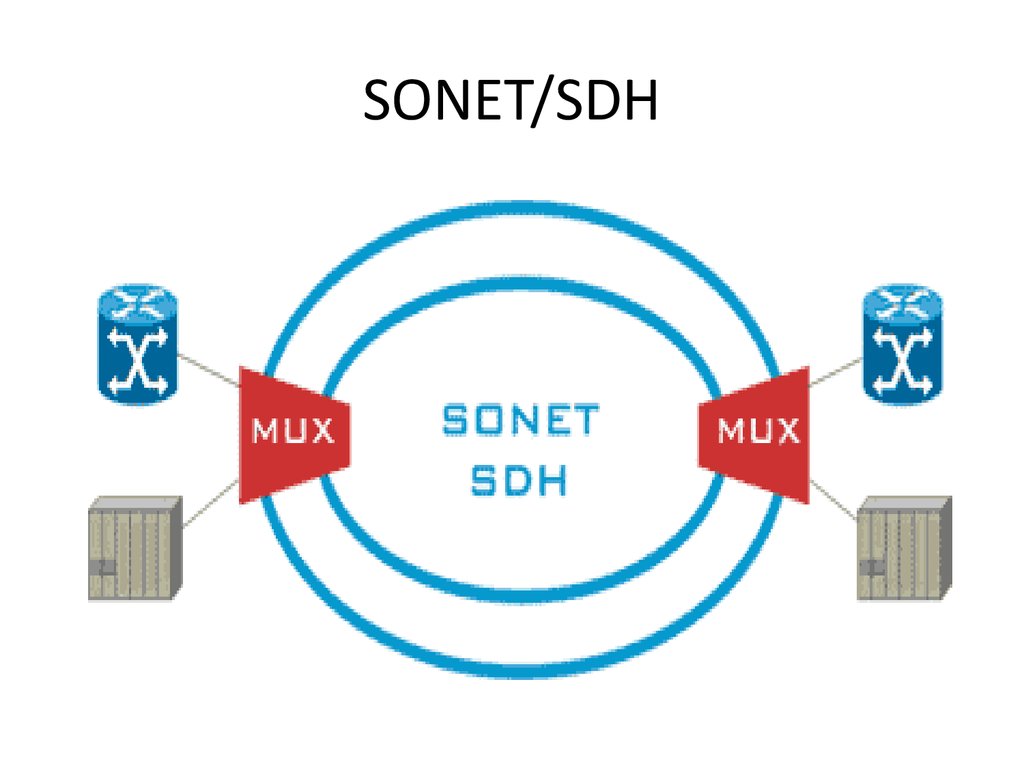SONET/SDH