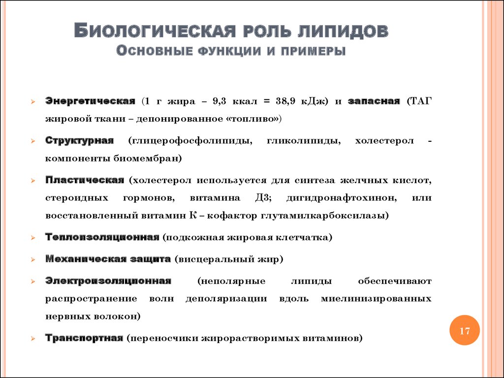 Биологические функции липидов в организме