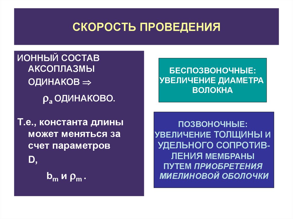 Скорость проведения. Константа длины нервного волокна формула. Константа длины нервного волокна характеризует его. Постоянная длины нервного волокна. Константа длины нервного волокна – это расстояние на котором.