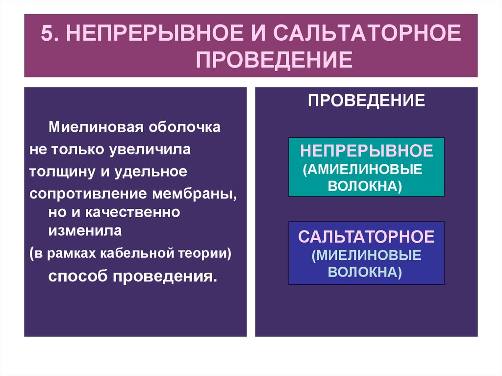 Проведение это. Непрерывное и сальтаторное проведение. Сальтаторный способ проведения возбуждения. Сальтаторное проведение импульса. Сальтаторная теория.