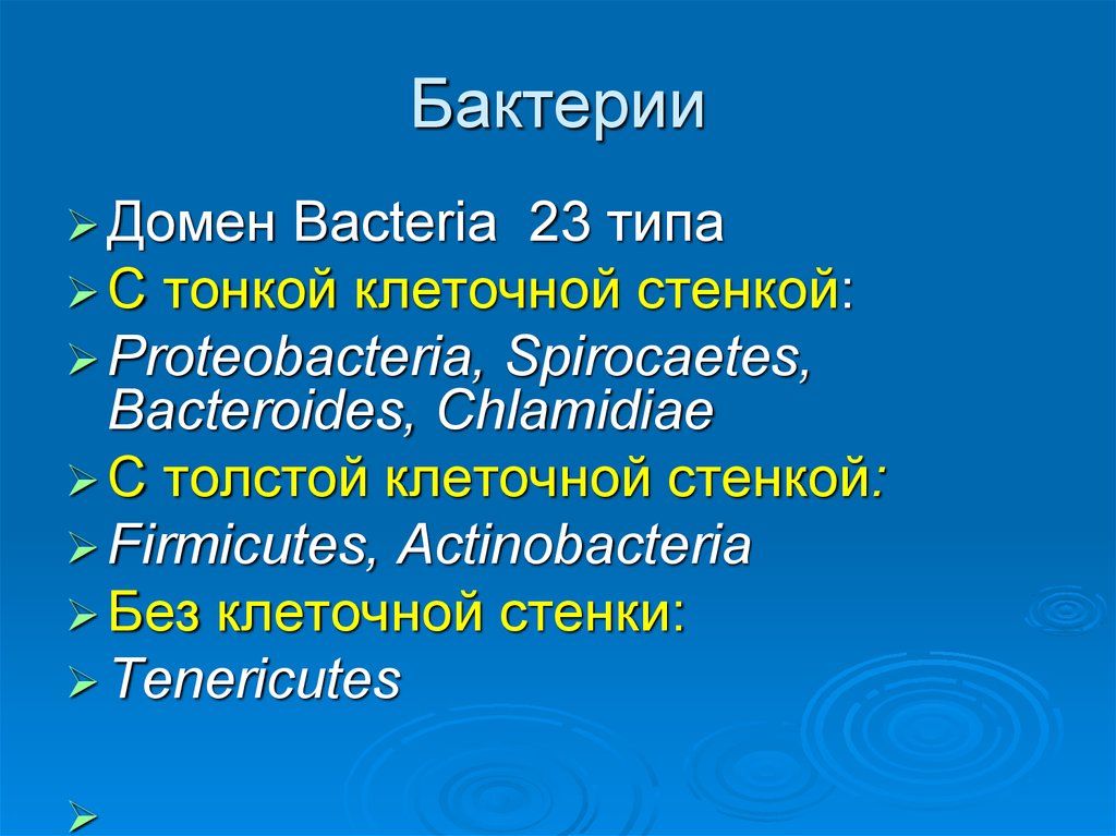 Морфология бактерий презентация - 90 фото