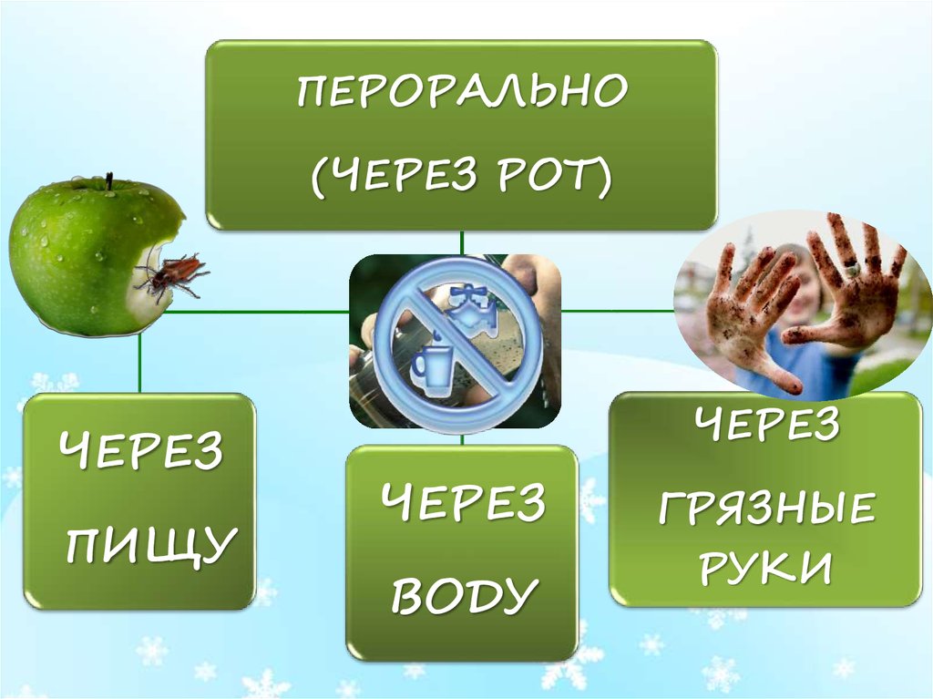 Экология питания человека презентация