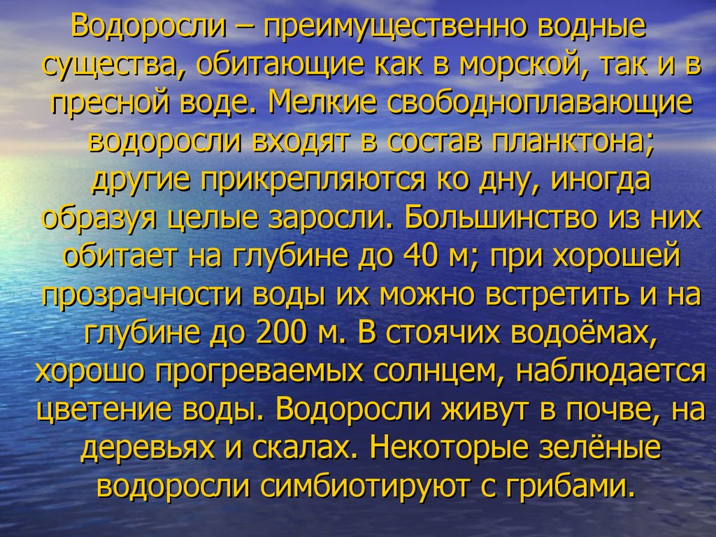 Радуга и водоросли что их объединяет проект по биологии