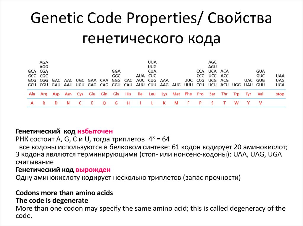 Coding properties. Genetic code History.