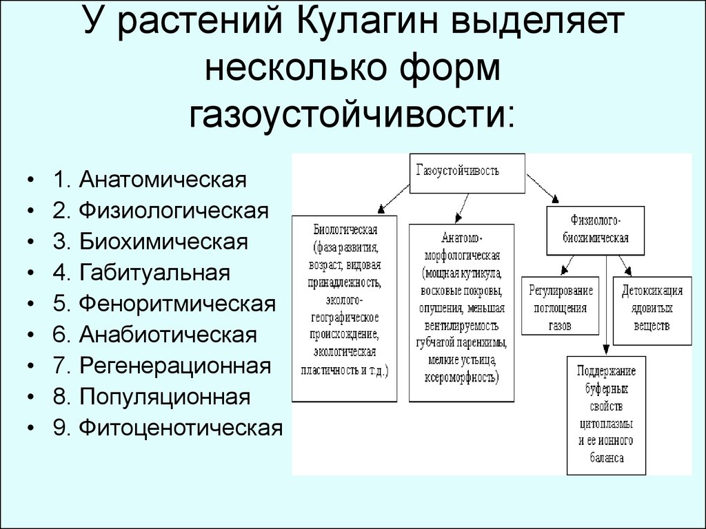 Несколько форм. Шкала оценки газоустойчивости растений. Виды газоустойчивые растения. Газоустойчивость древесных растений. Газочувствительность и газоустойчивость растений.