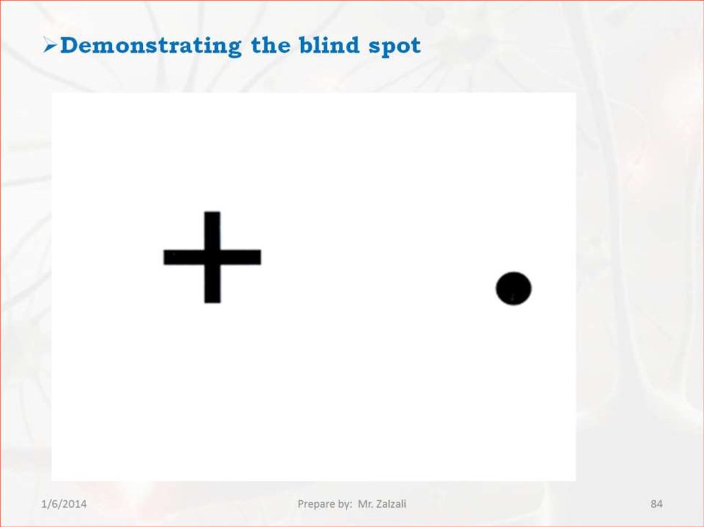 Обнаружение слепого пятна практическая работа 8. Слепая зона глаза. Рисунок Мариотта для нахождения слепого пятна. Зона слепого пятна тест. Слепое пятно глаза.
