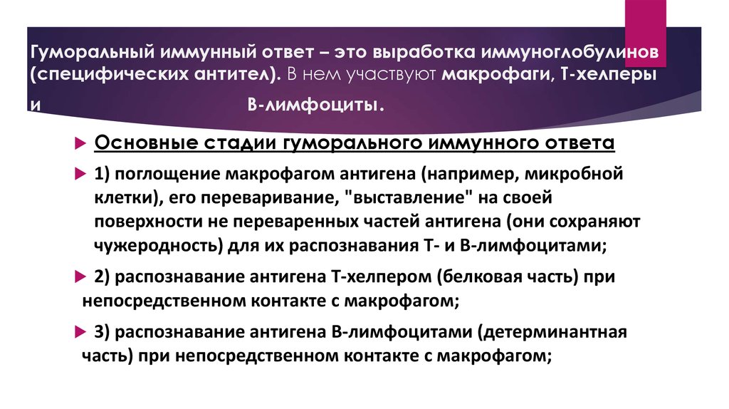 Иммунную реакцию вызывают. Гуморальный иммунный ответ. Этапы гуморального иммунного ответа. Гуморальный иммунный ответ иммунология. Схема гуморального иммунного ответа.