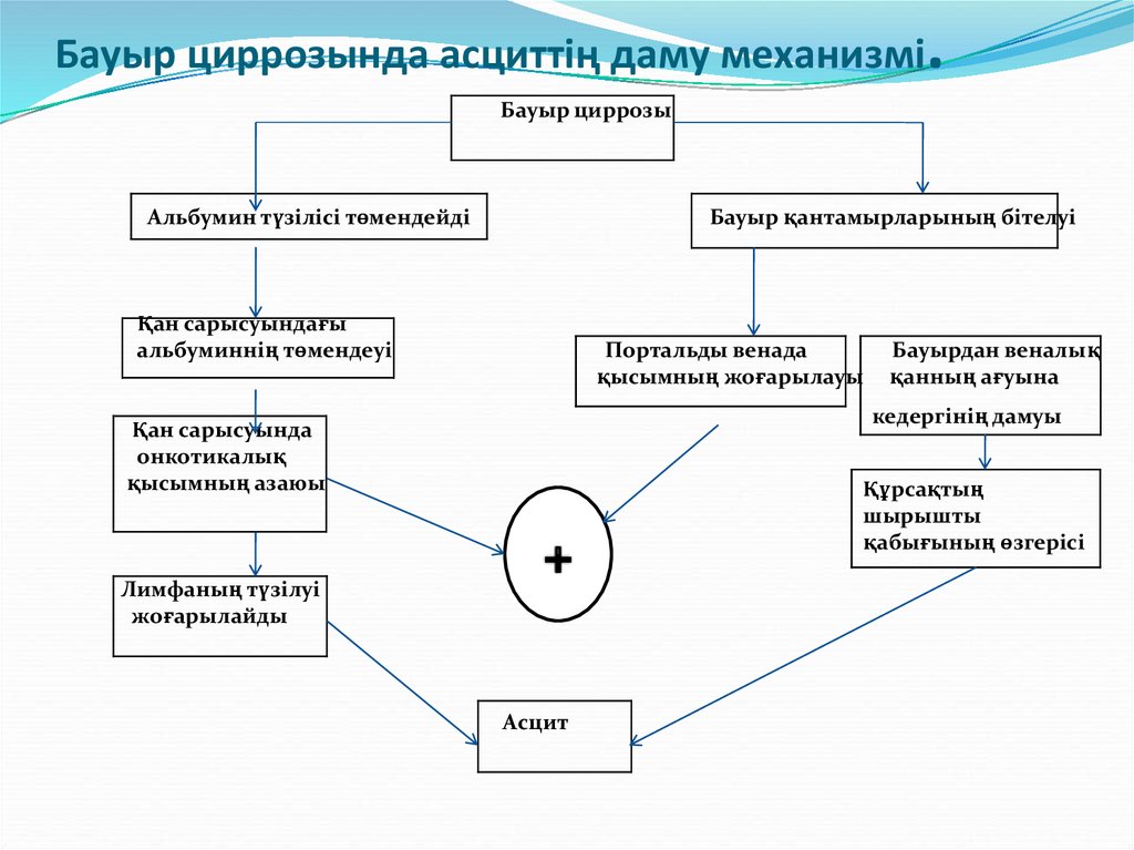 Бауыр циррозы презентация