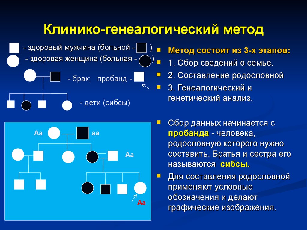 Генеалогический метод исследования презентация