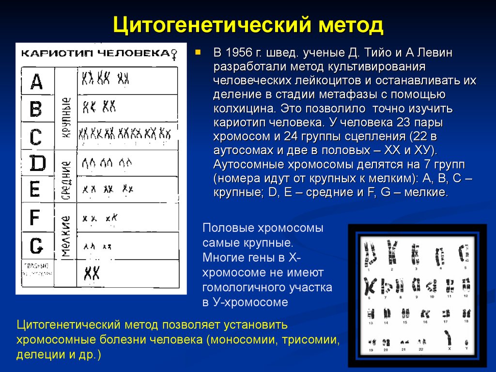 Цитогенетический метод устанавливает. Цитогенетический метод. Цитогенетический метод генетики. Цитогенетика человека методы. Цитогенетический методто.