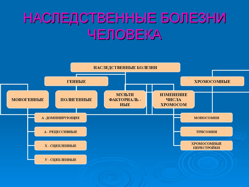 Хромосомные болезни человека презентация