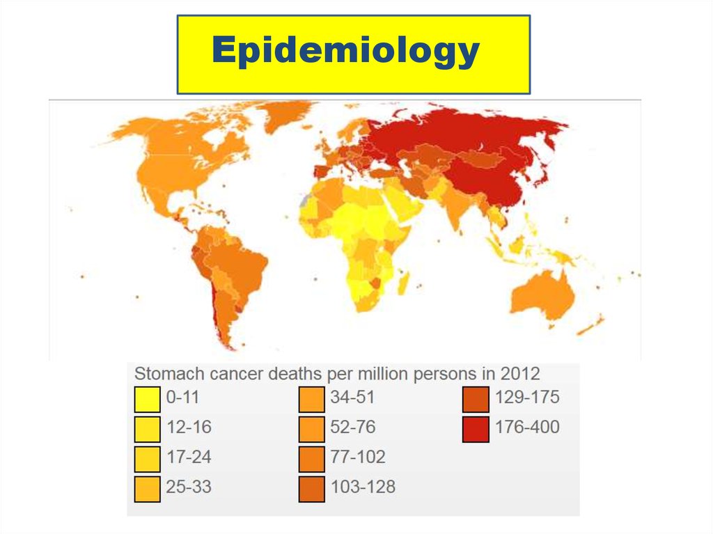  Stomach cancer - 