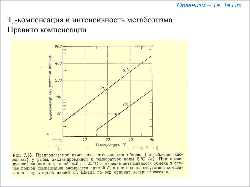 Интенсивность обмена веществ. Интенсивность основного обмена. Интенсивность белкового обмена. Снижают интенсивность обмена веществ. Содержание воды в организме зависит от интенсивности обмена веществ.