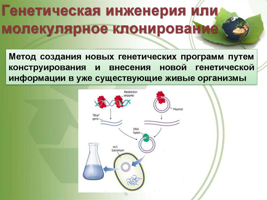 Генная инженерия схема