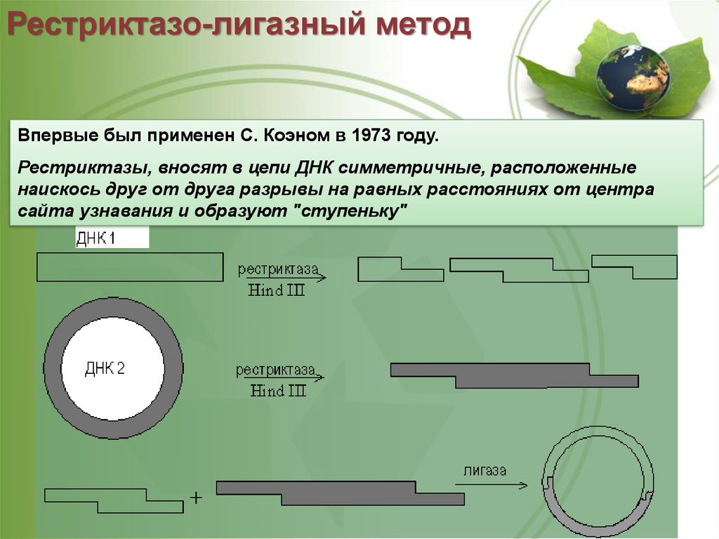 Презентация на тему трансгенез