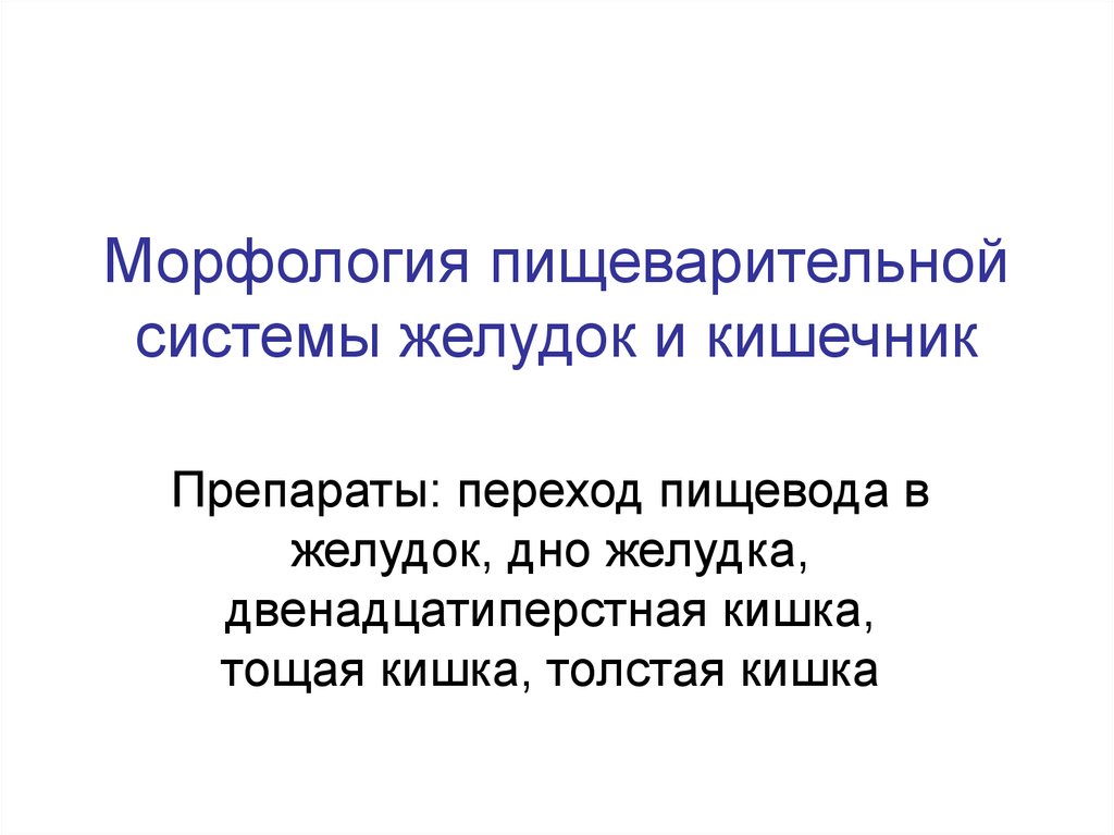 Пищеварение в желудке и кишечнике презентация 8 класс