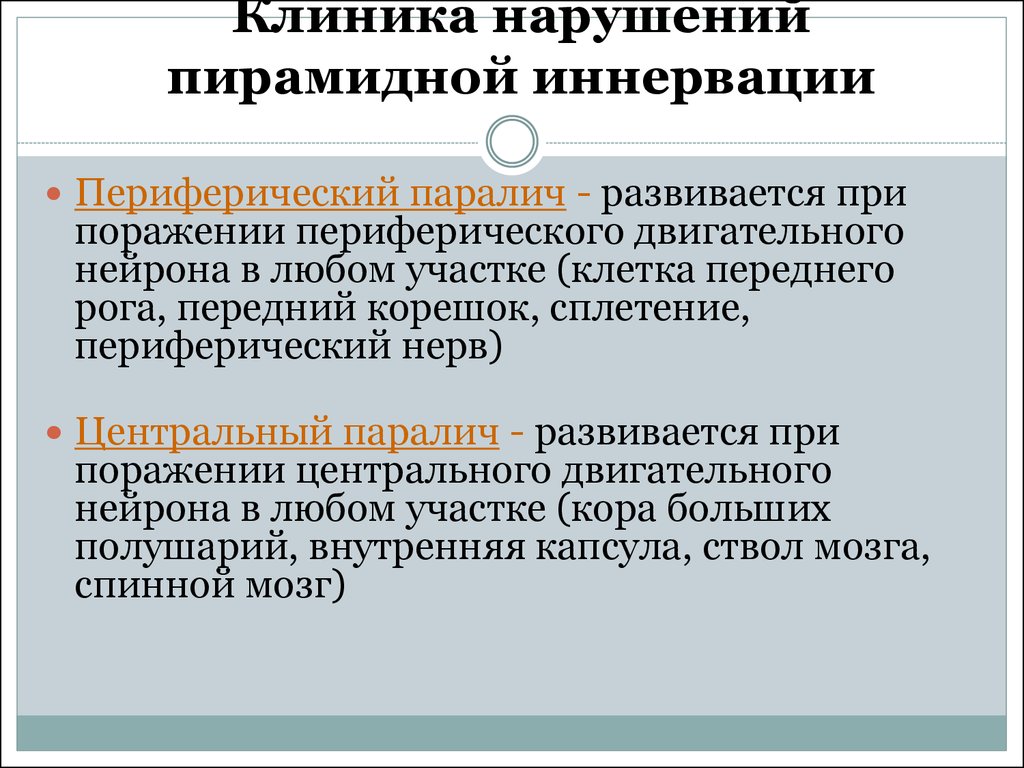 Периферический паралич. Центральный и периферический парез. Периферический паралич вызывает. Периферический паралич развивается при поражении:.