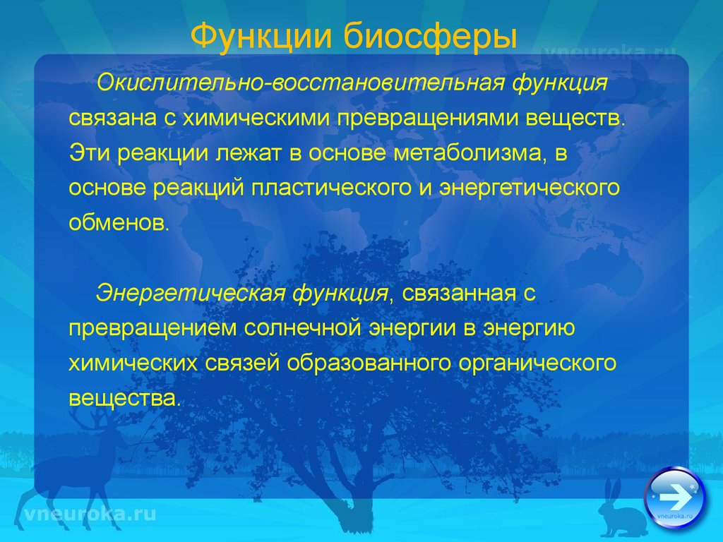 В основе реакций. Функции биосферы. Основная функция биосферы. Окислительно-восстановительная функция. Планетарные функции биосферы.