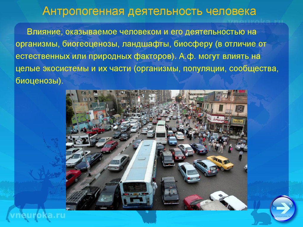 Деятельность оказала. Антропогенная деятельность. Антропогенная деятельность человека. Антропогенные влияния деятельности человека. Антропогенная активность.