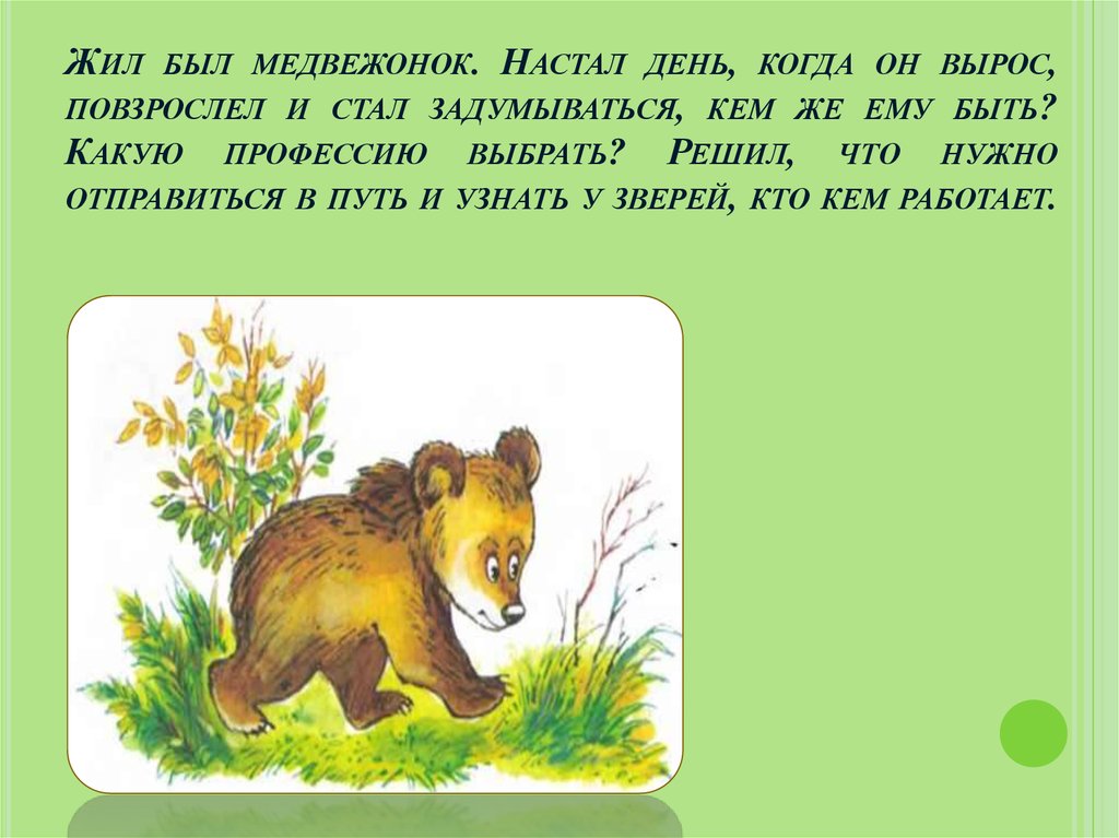 Почему медведь не съел машу