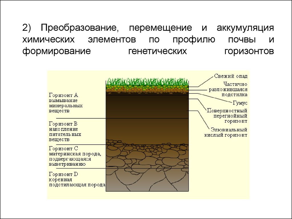 Схема формирование почв. Процесс почвообразования схема. Строение почвы Почётный профиль. Структура почвы. Какая структура почва благоприятна для сельскохозяйственных растений