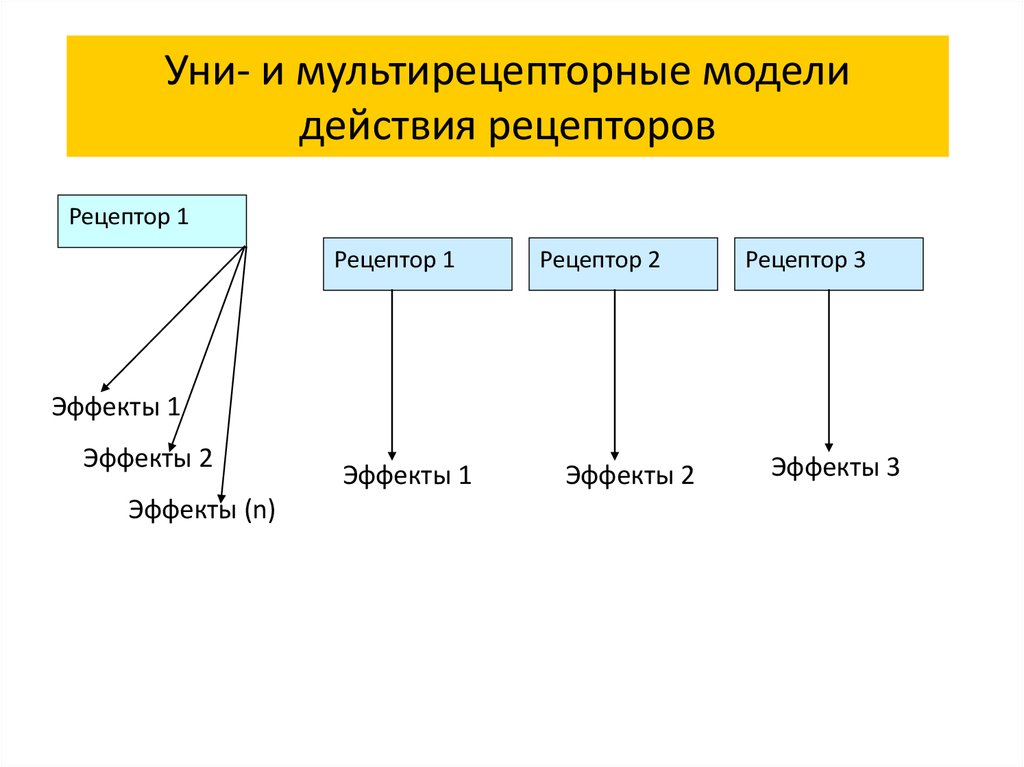 Действия рецепторов. Мультирецепторный принцип действия это. Мультирецепторные АА.