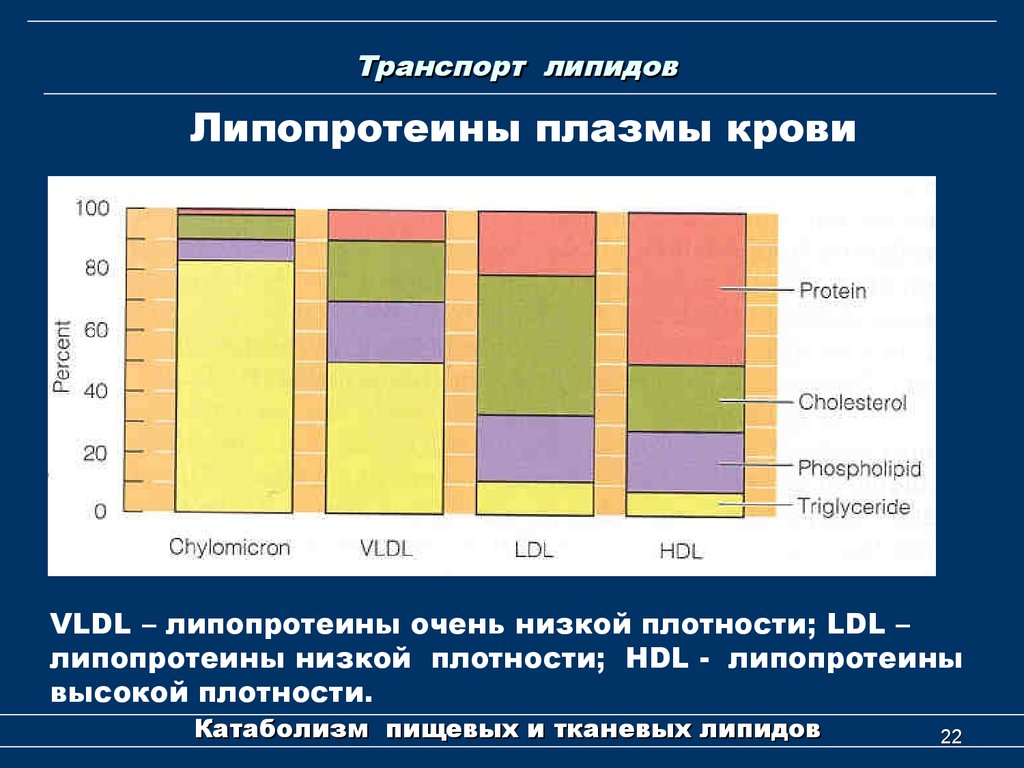 Липиды и липопротеины. Липопротеины транспорт липидов. Нормальный уровень липидов.. Липиды показатели. Низкий уровень липидов высокой.