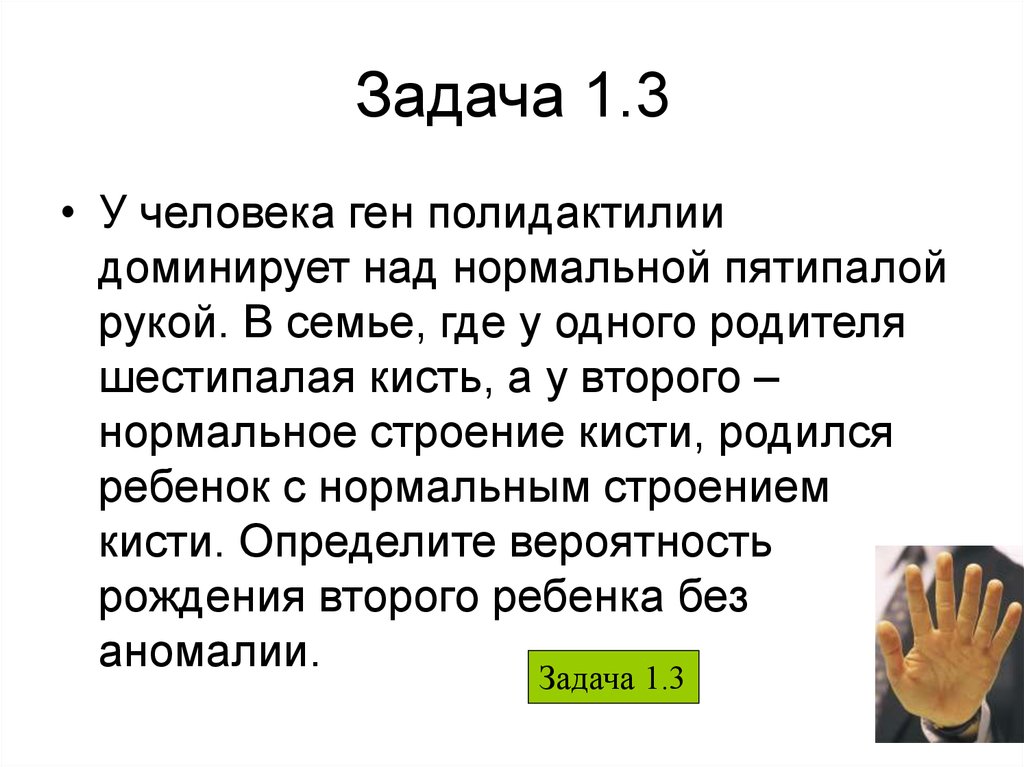 Доминирует над ребенком. Полидактилия задачи. У человека ген полидактилии. У человека ген полидактилии доминирует над нормальной пятипалой. У человека ген полидактилии доминирует над геном нормальной кисти.