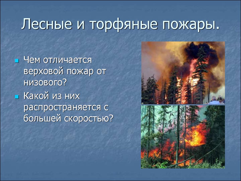 Лесной пожар относится к биологически опасным явлениям. Лесные и торфяные пожары. Орфяные и Лесные пожар. Причины лесных пожаров. Причины лесных и торфяных пожаров.