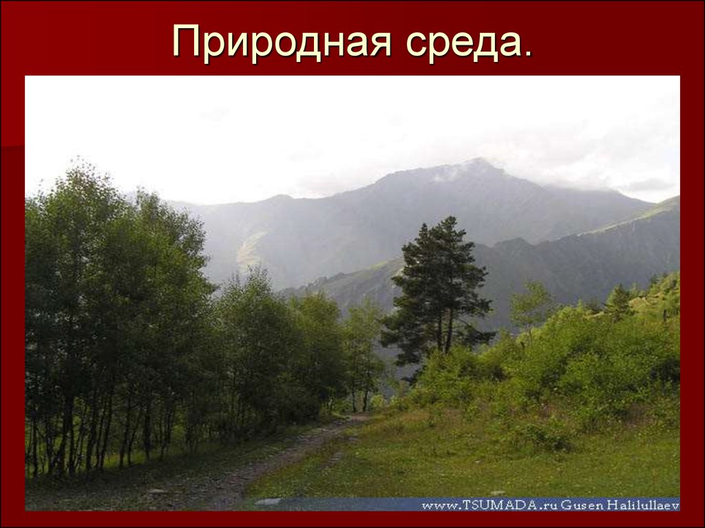 Природная среда обитания. Природная среда. Непосредственно природная среда. Естественная природная среда это. Природная среда первая природа.