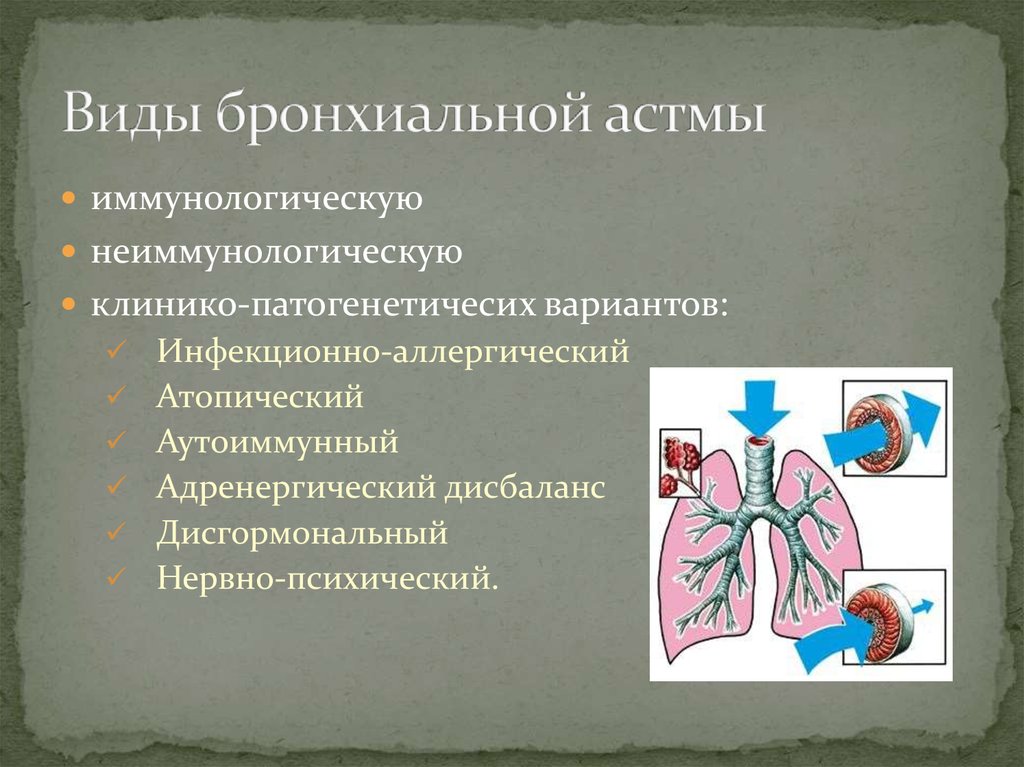 Роль медицинской сестры в профилактике бронхиальной астмы у детей презентация