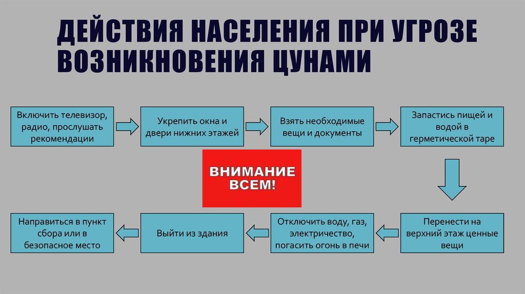 Дополните схему действий человека оказавшегося в волне цунами