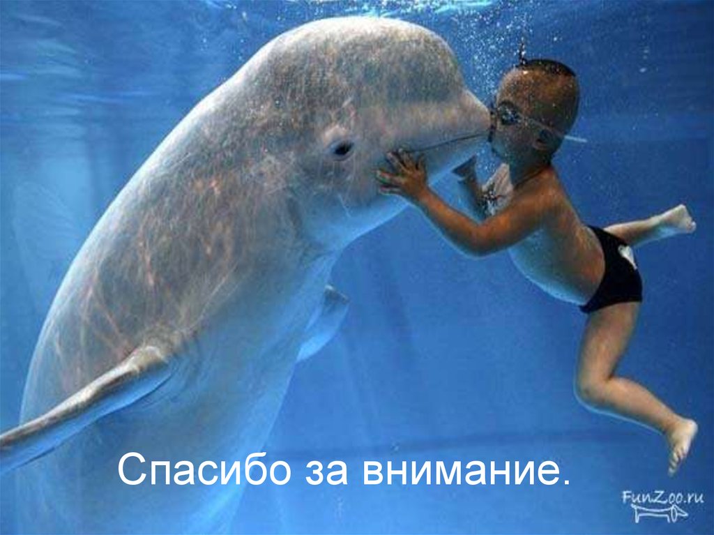 Спасибо за внимание.