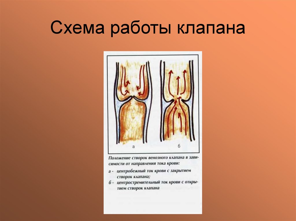 Схема работы клапана