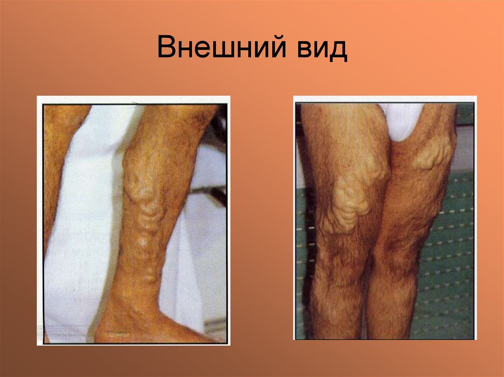 Внешний вид