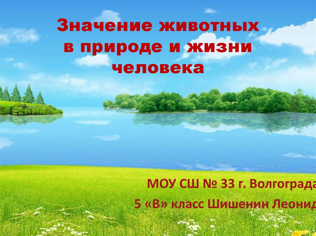 Роль животных в природе и жизни человека 5 класс биология презентация