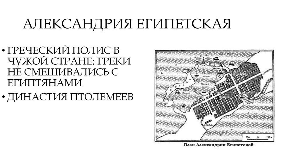 План в александрии египетской