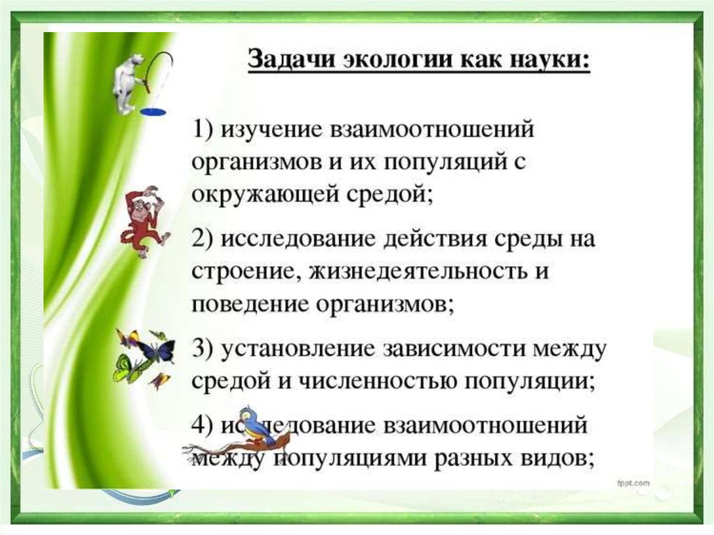 Экологические задачи. Задачи науки экологии. Основные задачи экологии. Задачи экологии как науки. Главные задачи экологии.