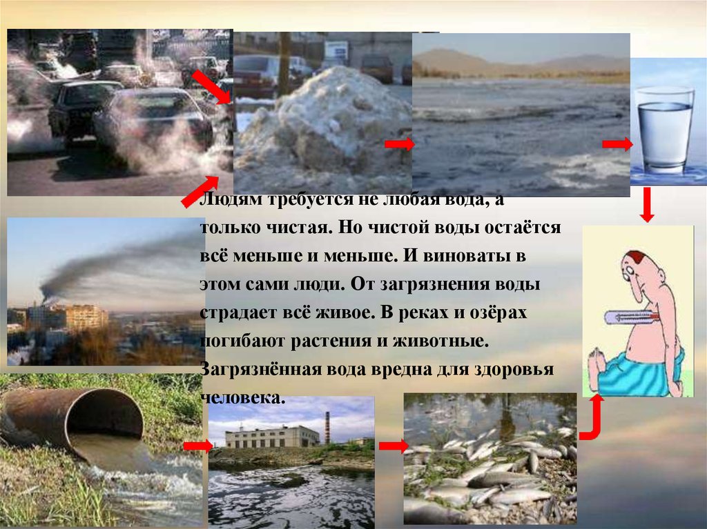 Загрязнение воды проект 9 класс