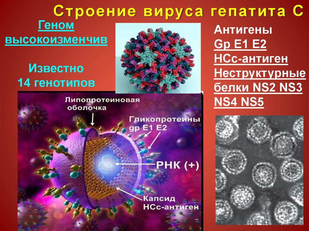 Положительный вирус