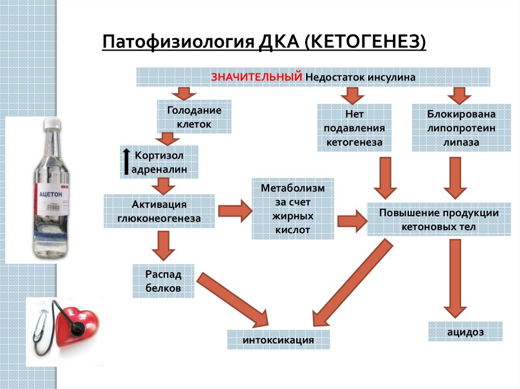 Белковая интоксикация