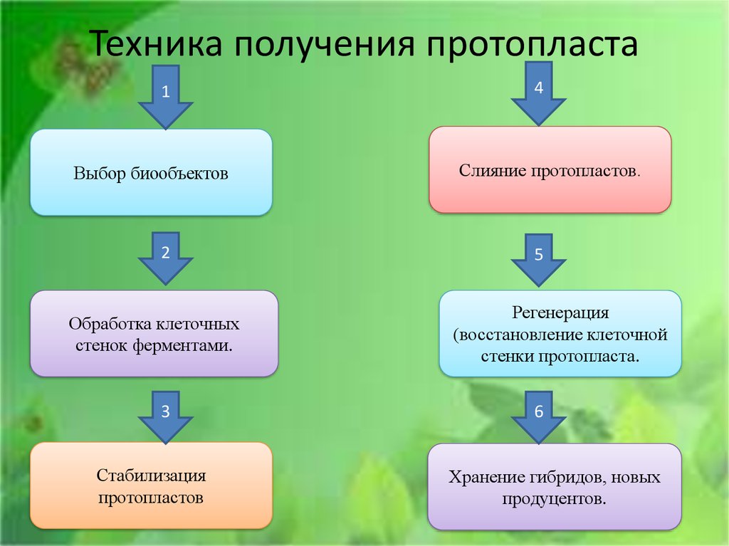 Получение гибридов на основе соединения