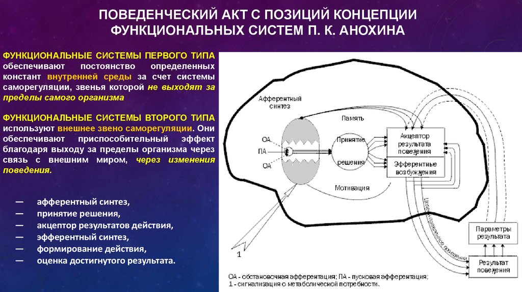 Схема принятия решений мозгом